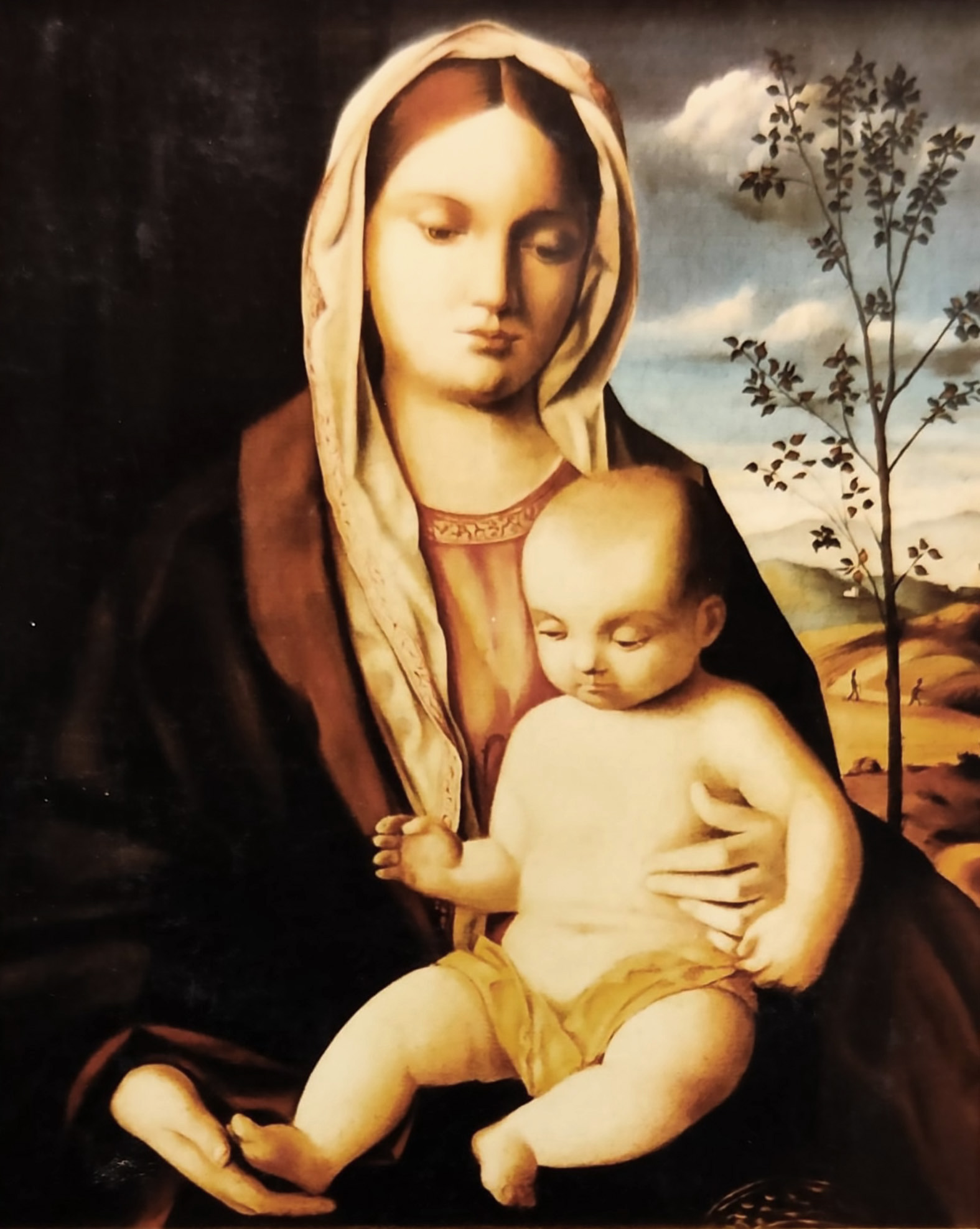 MADONNA CON BAMBINO-BELLINI